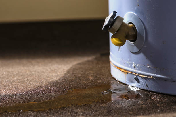 Best Residential water damage restoration  in Cleveland Heights, OH