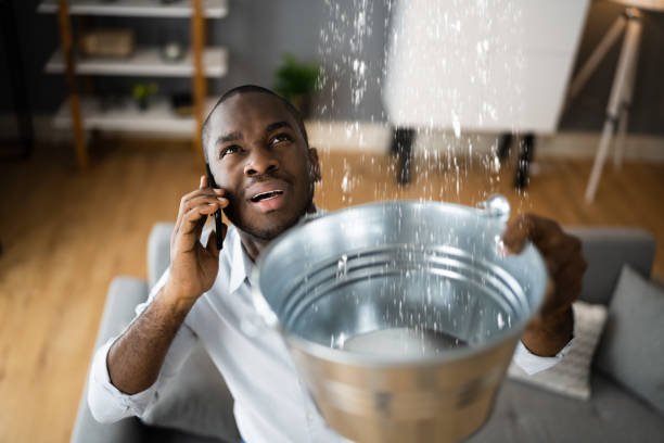 Best Fire Damage Restoration  in Cleveland Heights, OH