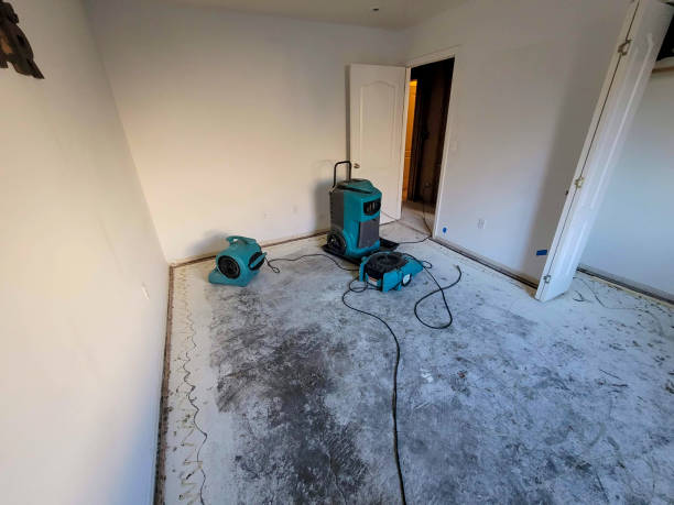 Best Flood restoration services  in Cleveland Heights, OH