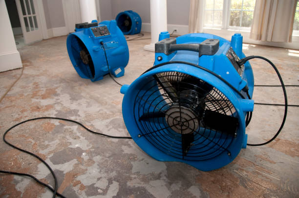 Best Mold removal after water damage  in Cleveland Heights, OH