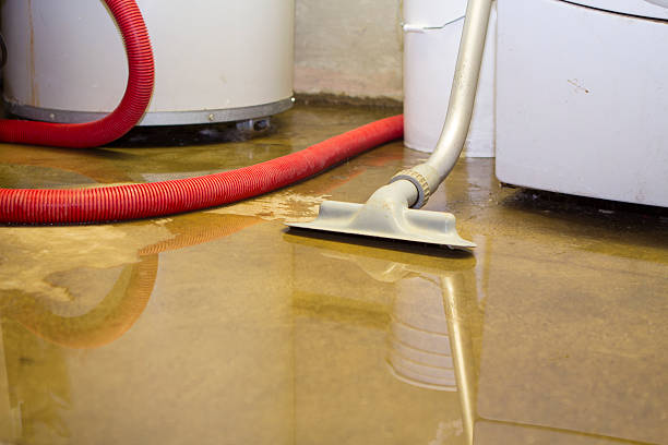 Best Water damage cleanup near me  in Cleveland Heights, OH