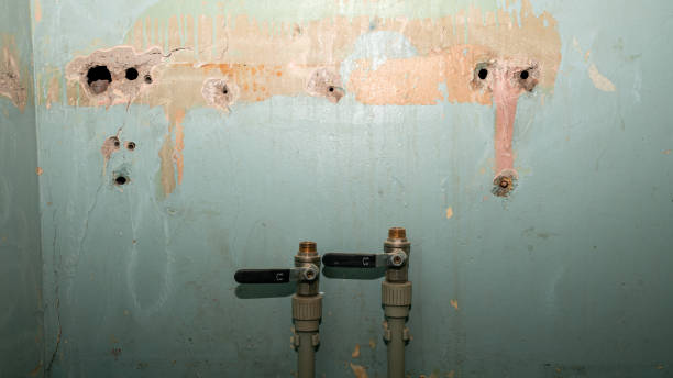 Best Emergency water damage restoration  in Cleveland Heights, OH
