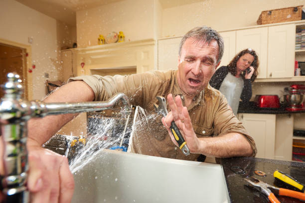 Best Professional water damage repair  in Cleveland Heights, OH
